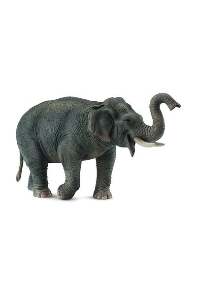 Collecta الفيل الآسيوي