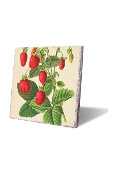 LWP Shop Mountain Strawberries Trivet