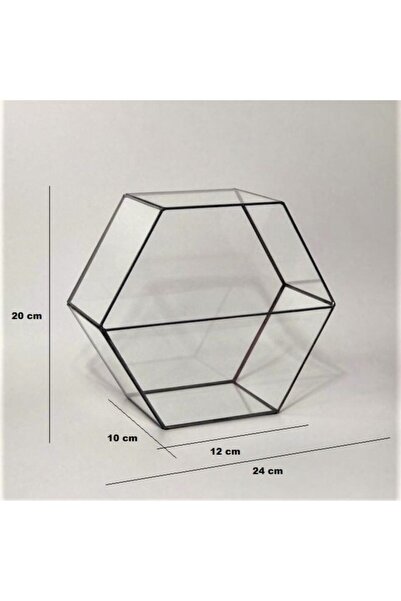 verteks Dekoratif Cam Fanus. Teraryum Cam Fanus. Geometrik Cam Fanus.
