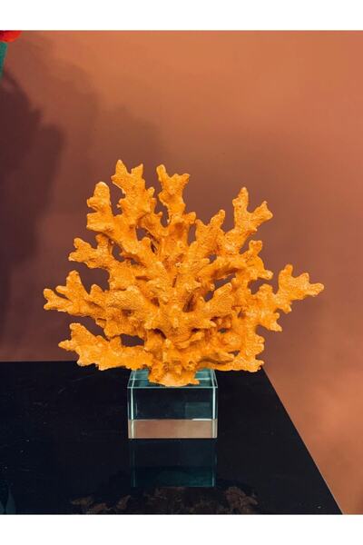 By Ari Ev Dekorasyon Hardal Mercan-km201-3