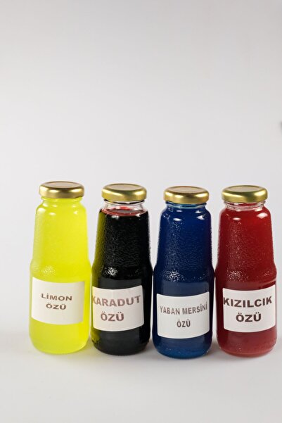 birgi köy evi Muhteşem Dörtlü Öz Paketi - Yaban Mersini Karadut Kızılcık Limon Küçük Boy