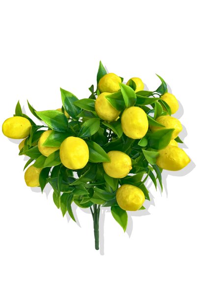 Cihan Çiçekçilik Limon Demet