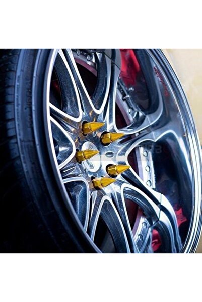 Space Sivri bijon takımı blox mavi renkli uzun bijon