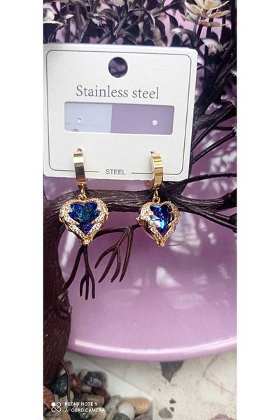 Kudi Steel Sky Heart Zircon Earrings