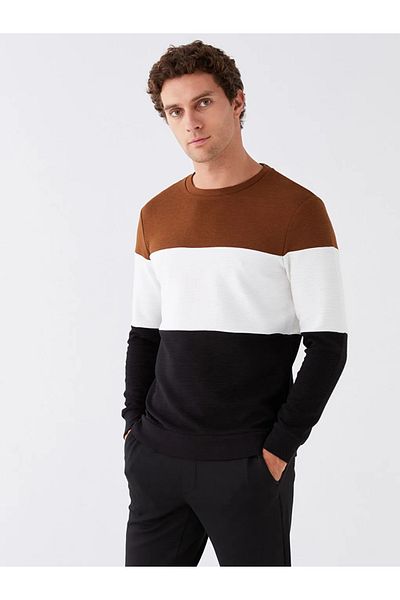 LC Waikiki LCW Vision Crew Neck Long Sleeve Color Block Men's Sweatshirt