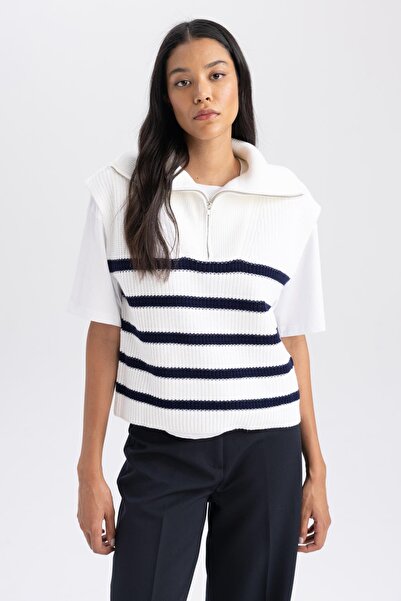 DeFacto Relax Fit Смугастий светр на блискавці з високим коміром A9182ax23wn