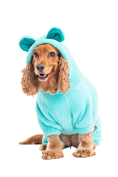 Pawstar Kulaklı Wellsoft Küçük Irk Köpek Tulum