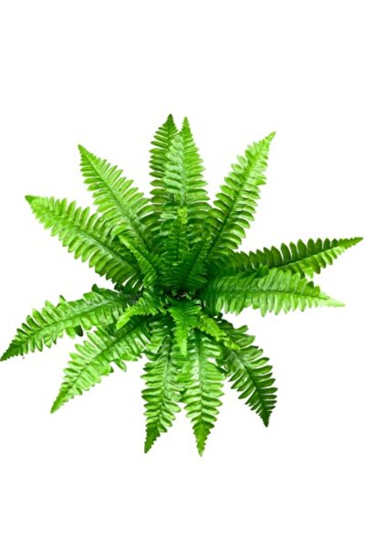 RUZGARCİCEK Rüzgar Yapay Çiçekçilik Aşk Merdiveni