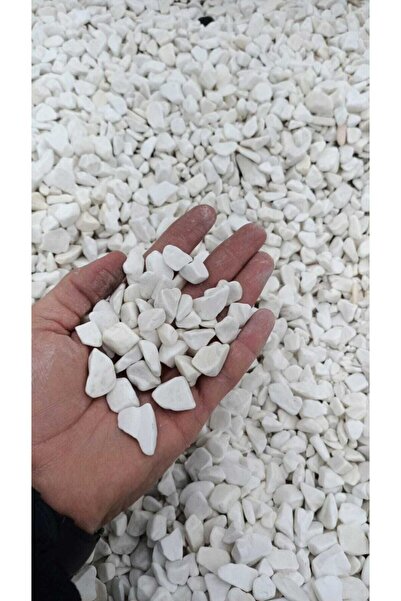 E&Z DOĞAL TAŞ Dolamit Taş 5 Kg 1-2 Cm