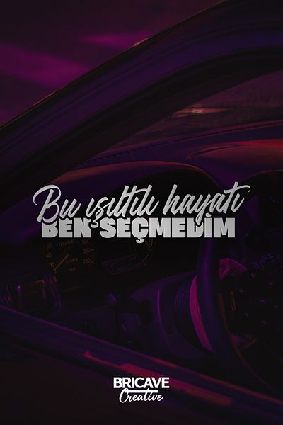 Bricave I Did Not Choose This Shiny Life Lettering JDM Car-Motorcycle Windshield Label Sticker 22x6,2cm