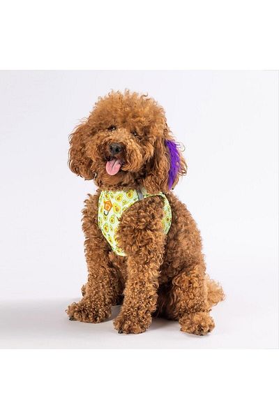 Pawstar مقود صدر شبكي من الأفوكادو للقطط والكلاب مقاس Xlarge
