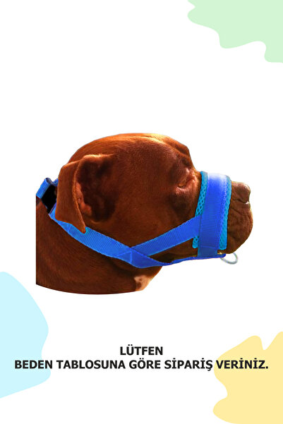 Köpek Ağızlığı LARGE MAVİ Büyük Irk