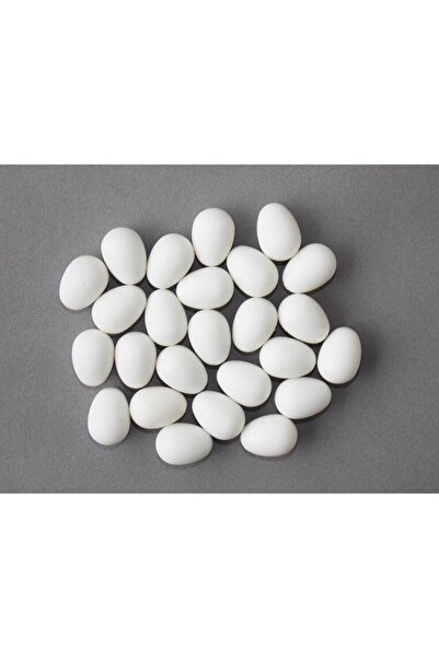 Fit Fly Sahte Kuş Yumurtası Kanarya-muhabbet Kuşu 5 Adet