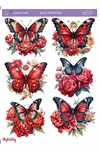 LİNEART Lineart Sulu Transfer LNT187 25x35cm