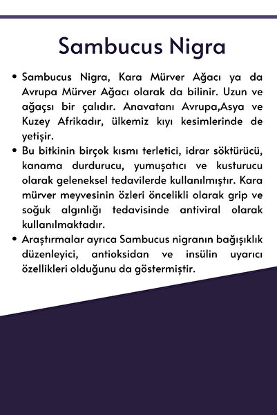 Optivita Sambucus Nigra Kids Kara Mürver Ekstresi Içeren Çocuk Şurubu 150 ml