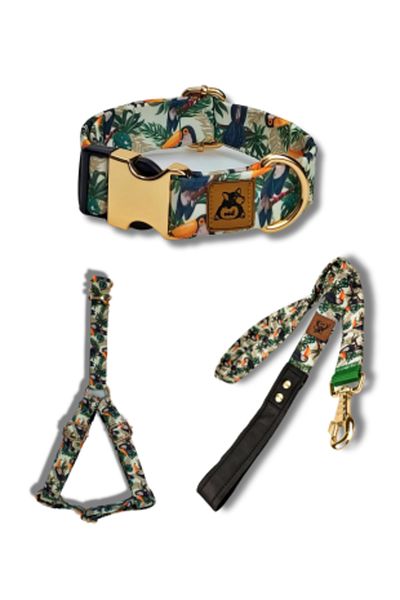 UTDpet Toco Dog Collar Set