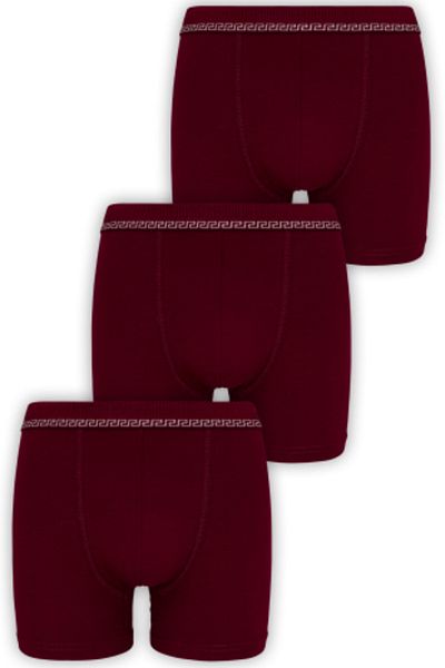 biyokids Biyo Xtreme Men's Boxer 3 Pack Cotton Byo3104 3 Pack Claret Red