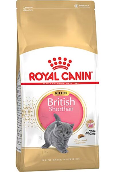 Royal Canin British Shorthair Kitten Kedi Kuru Maması 2KG