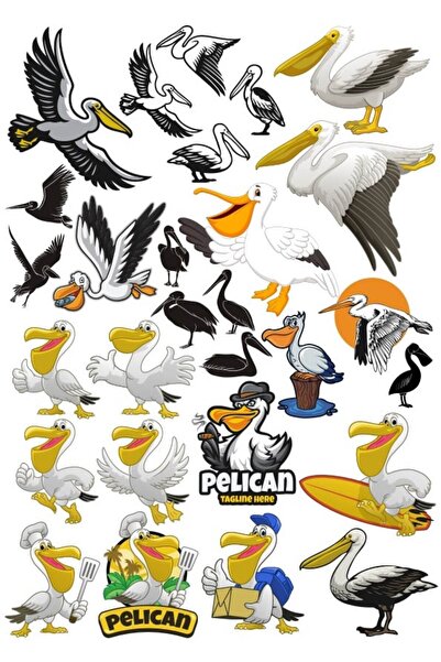 Reysa Tasarım مجموعة ملصقات بيليكان مكونة من 20 قطعة للهاتف والكمبيوتر اللوحي...