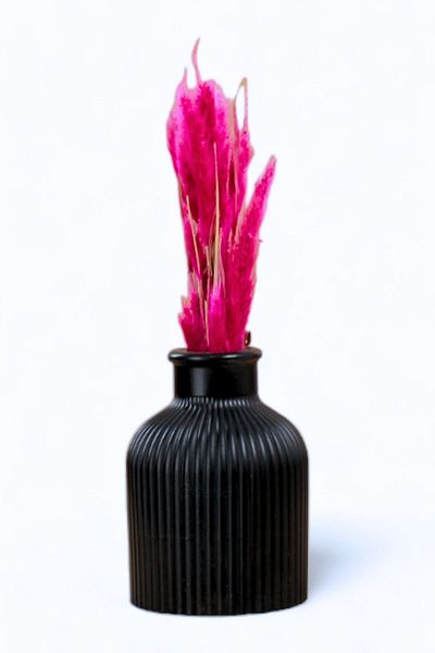 Evene Vase Small Vase Tabletop Vase Home Decoration Vase Black Color Model 3
