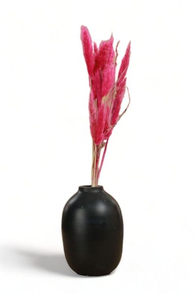 Evene Vase Small Vase Tabletop Vase Home Decoration Vase Black Color Model 6