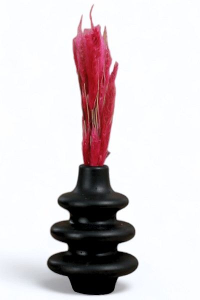 Evene Vase Small Vase Tabletop Vase Home Decoration Vase Black Color Model 5