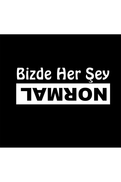 Birim Matbaa Everything Is Normal at Us Auto Sticker(23X9 cm)