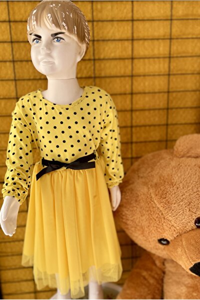 DG AURA Polka Dot Long Sleeve Ruffled Tulle Dress