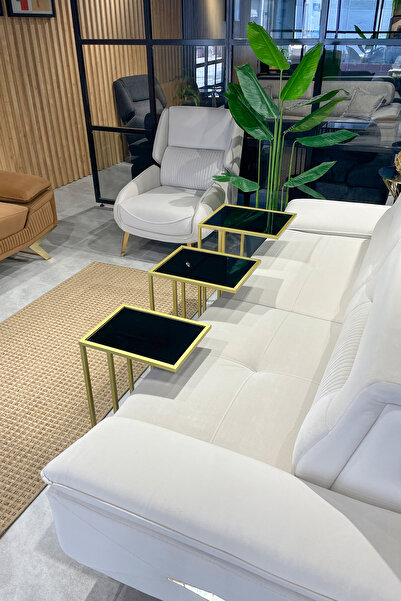 ASA KONSEPT 3'lü GOLD C Sehpa, Siyah Güvenilir Tamperli Camlı, Çok Amaçlı Met...