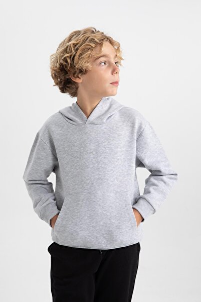 DeFacto Boy's Regular Fit Thick Hooded Sweatshirt