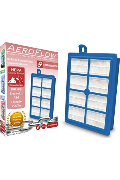 Supurgeavm Electrolux Supercyclone Esc63eb - Ηλεκτρική σκούπα με ενισχυμένο φ...