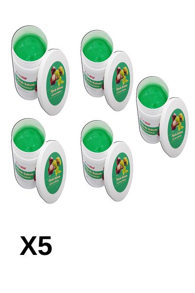 Tabib Lokman Pferde Balsam Massage Gel - Horse Chestnut, 500 ml x 5 pcs