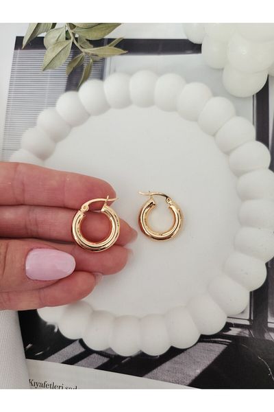 HERCY Classic Model Small Size Imported Hoop Earrings