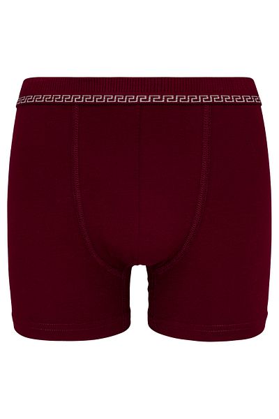 biyokids Biyo Xtreme Men's Boxer 3 Pack Cotton Byo3104 3 Pack Claret Red