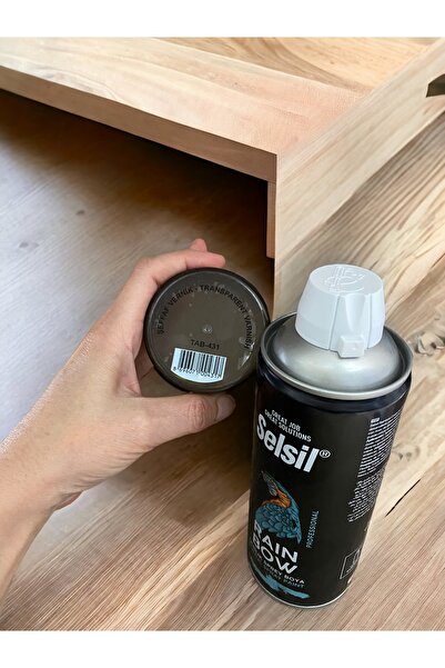 RENK YAPI RÜYASI KİL HEYKEL, ÇANAK, OBJE İÇİN VERNİK, KOLAY KULLANIM, GÜÇLÜ KORUMA SPREY VERVİK