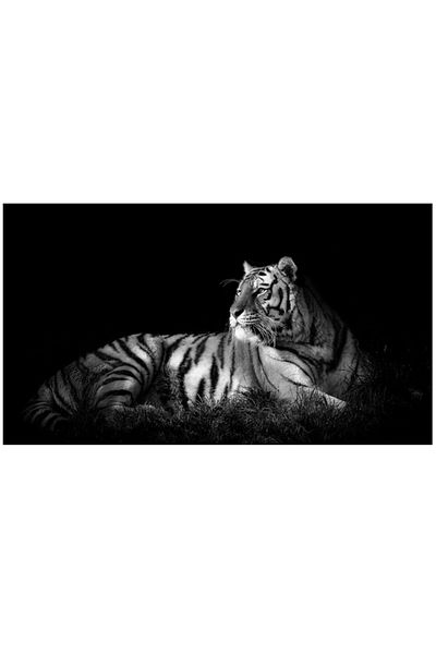 dialands Tiger - Relaxed Fit