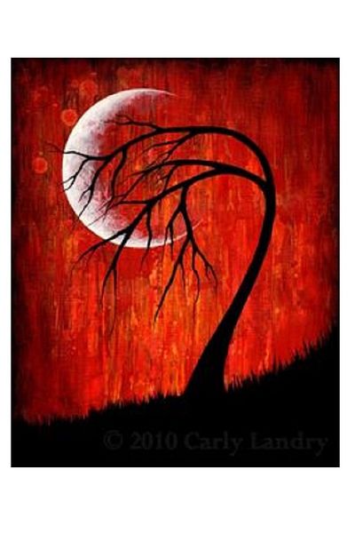 dialands D 01010377   Model Night Puzzle