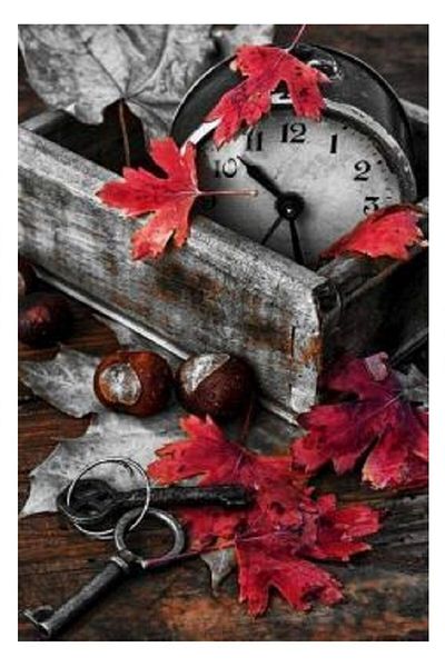 dialands Watches