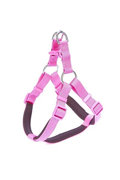 Doggie Comfort Ronin Köpek Bel Tasması