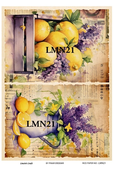 LİNEART Pirinç Dekopaj Kağıdı No:LMN21- 29X42cm