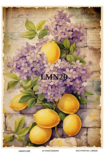 LİNEART Pirinç Dekopaj Kağıdı No:LMN20- 29X42cm