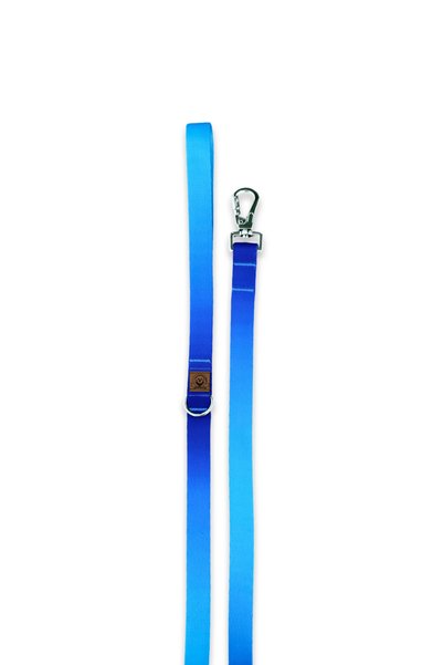 JesPawty Blue Double Color Travel Collar Extra Safety Lockable System