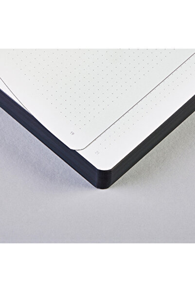 NUUNA Graphic L – FUTURE PLANS