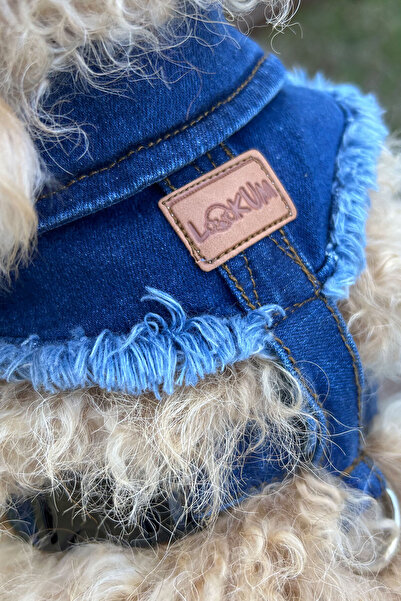 Globodepo Yakalı Mavi Kot Jean Köpek Tasması Koşum Kaçış Önleyici Göğüs Gövde Tasması Ayarlanabilir