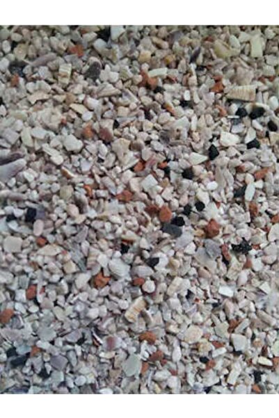 Genel Markalar Grit Kuş Kumu 1000gr