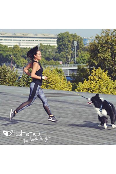 Lishinu Pink Bunge Smart Cone Travel L 13-40kg