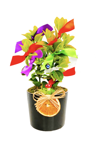 çiçekseli Altuni Taflan Dilek Ağacı & Şans Aşk Para Sağlık Dilekleri 20-25 Cm...