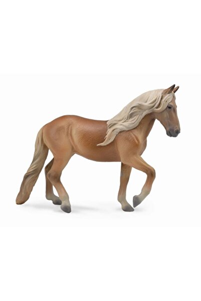 Collecta Perulu Paso Kestane Mare