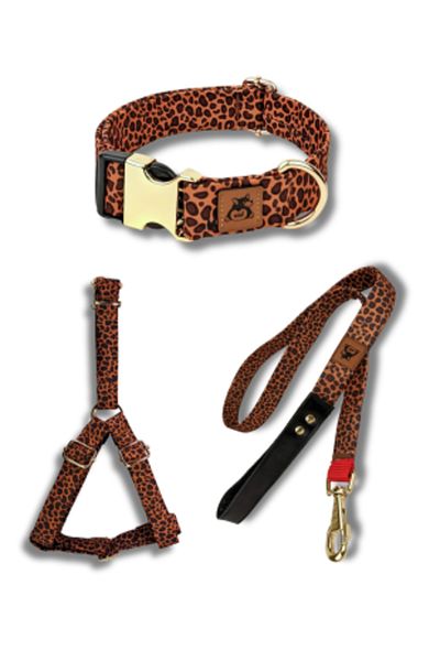 UTDpet Leopard Patterned Dog Collar Set