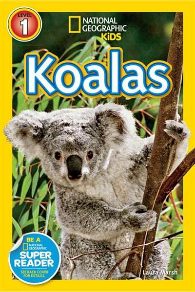 National Geographic Kids Koalas Leather School